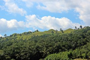 고령 지산동 고분군
