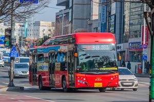 급행1번 3문 저상버스