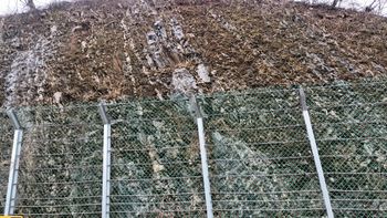 단양군 단양읍 장현리 노동장현로 도로변에 드러난 천동리층의 등사습곡(배사)구조