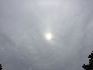 햇빛이 흐릿하게 비치는 고층운의 투과성 변종