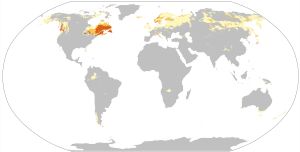 포드졸 토양 분포 (WRB 분류)