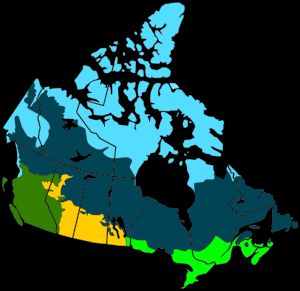 캐나다의 주요 서식지 유형. 황무지와 툰드라는 밝은 파란색, 타이가와 북방 침엽수림은 짙은 파란색으로 표시됨