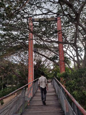 탐파룰리 다리 위