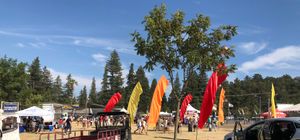 길로이 갈릭 페스티벌