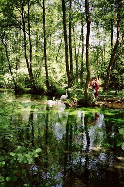 보스나 강의 수원인 브렐로 보스네