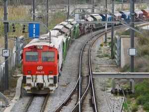 FGC 기관차 254.03이 산트 보이 인근에서 화물 열차를 견인하고 있다