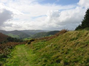 크닐 근처 오파의 제방 모습, 헤리퍼드셔