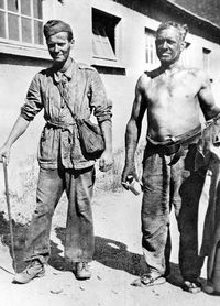 소련 포로 수용소에서 풀려난 안데르스 군대 의 폴란드 지원병