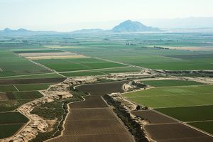 배경에 마운트 시그널이 있는 밭의 항공 사진(2017)