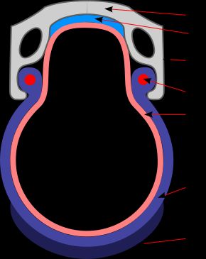 클린처 단면도 1: 테, 2: 테 테이프, 3: 테 제동기가 닿는 면, 4: 속선, 5: 속 튜브, 6: 외피, 7: 홈