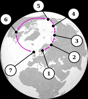 북극해 주변에 서식하는 갈매기속의 예. 1: L. fuscus, 2: 서양재갈매기의 시베리아 서식종, 3: L. heuglini, 4: L. vegae birulai, 5: L. vegae, 6: L. smithsonianus, 7: L. argentatus.