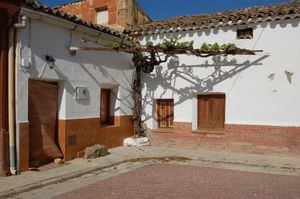 온테시야스의 집 근처 포도