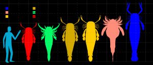 6종의 가장 큰 바다전갈 크기 비교: 프테리고투스 그란디덴타투스, 펜테콥테루스 데코라헨시스, 아쿠티라무스 마크로프탈무스, A. 보헤미쿠스, 카르시노소마 푼크타툼, 자켈롭테루스 레나니아에