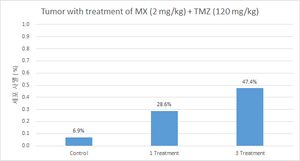 TMZ+MX를 처리하였을 때 대장암 세포의 사멸