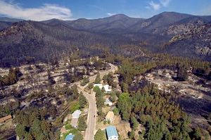 불탄 나무와 집들의 항공 사진