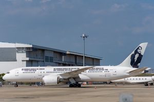 마흐사 아미니가 그려진 보잉 787형기（항공기 등록 기호:P4-787）