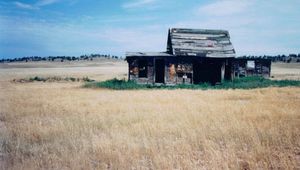 사우스다코타주 듀이 근처 블랙힐스 남부의 버려진 오두막