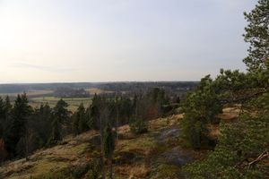 시포의 시포 코르피 국립공원 언덕