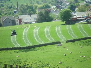 농업은 이스트에어셔 경제에 큰 부분을 기여한다