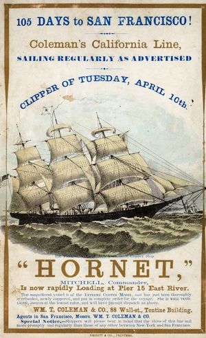 Hornet – 1850년대 미국의 클리퍼선