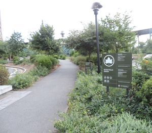 현재 퀸즈 플라자의 일부인 더치 킬스 그린