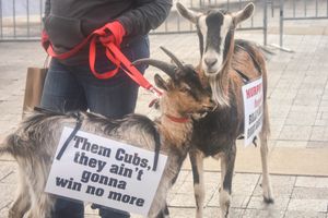 인디언스 팬들이 "빌리 염소의 저주"가 계속되기를 바라며 1차전 당일 프로그레시브 필드에 데려온 두 마리의 염소