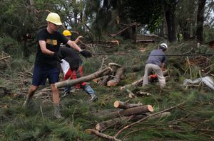 오키나와의 오쿠마 리조트 직원들이 태풍 곤파스로 인해 도로에 떨어진 잔해들을 치우고 있다.