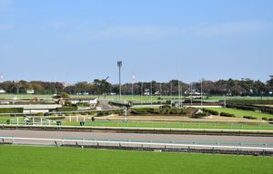 스탠드 측에서 본 거대한 생울타리 장애물과 대나무 울타리 장애물