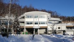 구・허드슨 중앙 연구소