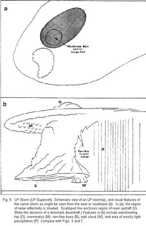 LP 슈퍼셀의 개략도