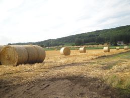 롤 베일이 밭에 점재하는 풍경. 도카치가오카 공원 서쪽의 도카치 강 온천 북쪽에서(2011년 8월)