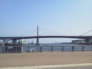 하버 하이웨이(마야 대교)