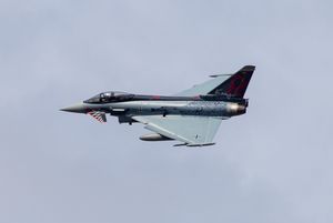 독일 공군 유로파이터 타이푼에 적용된 하르트만의 "검은 튤립" 색상