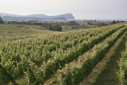 노보리 지구의 풍경(2015년 7월)