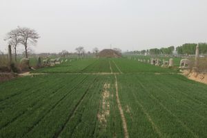 영창릉에 있는 태조의 묘, 공의, 정저우