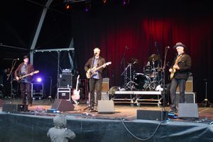 2014년 공연하는 텔레비전