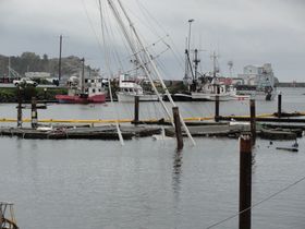 2011년 3월 18일, 미국 캘리포니아주 크레센트시티에서 쓰나미가 항구를 휩쓸고 남은 피해. 배 한 척이 가라앉아 돛 부분만 보인다.