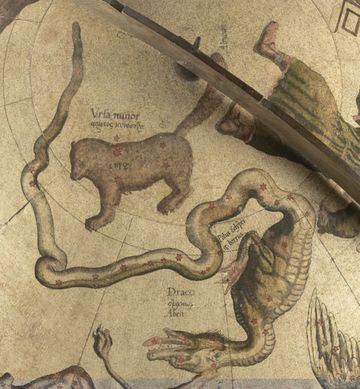 1551년에 게르하르두스 메르카토르가 제작한 천구의에 그려진 용자리. 천구를 바깥쪽에서 본 시점으로 그려져 있어 실제 별자리와 좌우가 반전되어 있다.