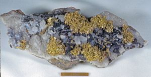 금과 섬아연석이 석영 위에 놓여 있으며, 후네도아라주 사카림에서 채취되었다. 하단의 눈금은 1인치이며, 눈금자는 1cm이다.