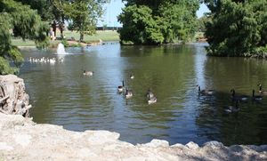 브랜트 공원의 "오리 연못"