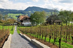 북쪽에서 본 포도원과 레스토랑