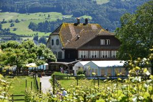 Zu den zwei Raben 여인숙, 2016년 6월