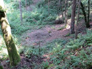 피케츠 계곡 집단 매장지