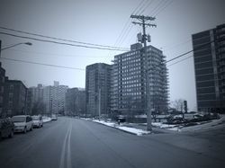 골드 코스트 지구의 고층 아파트 단지