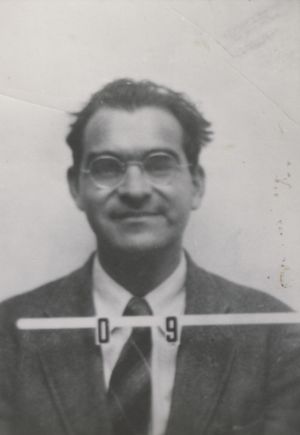 바이스코프의 로스 알라모스 배지