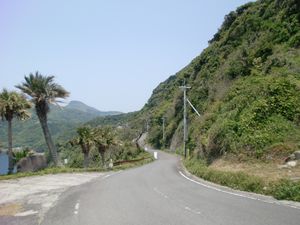 구로세 해안 부근의 국도 226호선