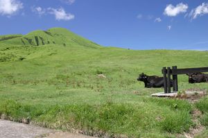 아소산의 오조다케(Ojodake), '다케이와타츠노미코토'가 활쏘기를 연습한 곳