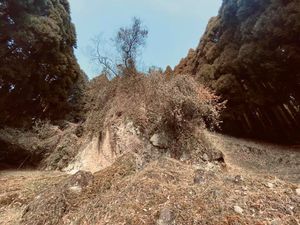 다케이와타츠노미코토를 위해 화살을 회수하기 위해 기하치가 보낸 '마토이시'(과녁돌)