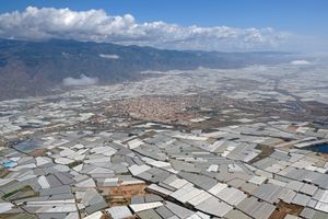 비닐하우스로 둘러싸인 엘 에히도의 마을