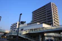 리베스타 나루미